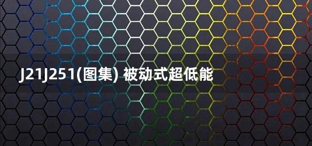 J21J251(图集) 被动式超低能耗建筑节能构造（五）抗剪锚固钢片点连式现浇混凝土内置保温系统